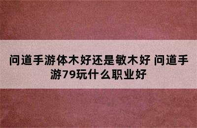 问道手游体木好还是敏木好 问道手游79玩什么职业好